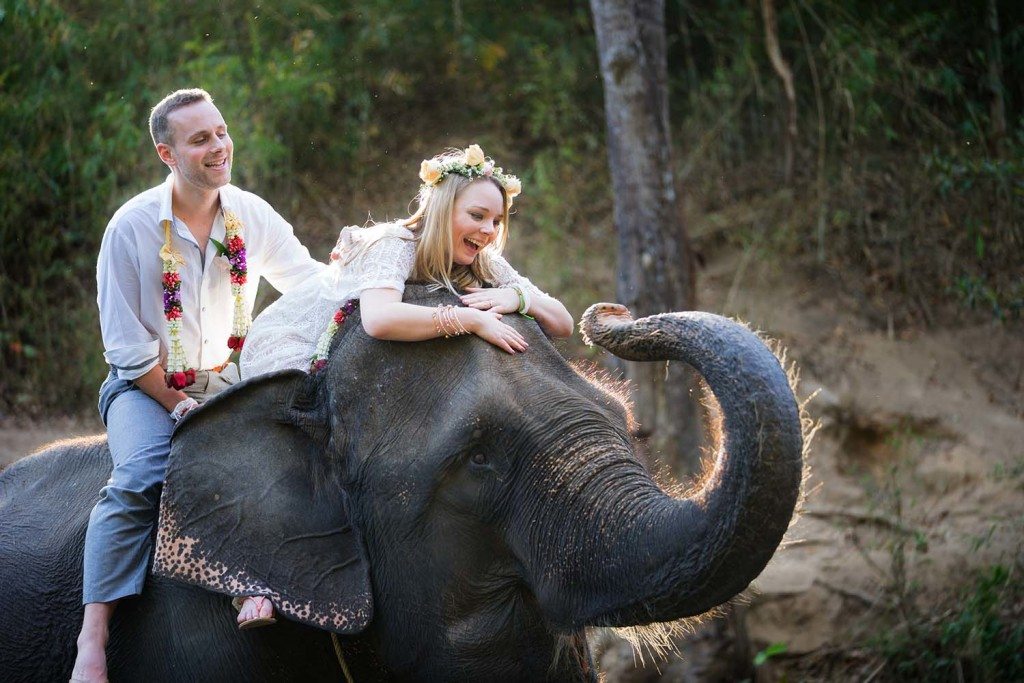 boho backlit elephant photography