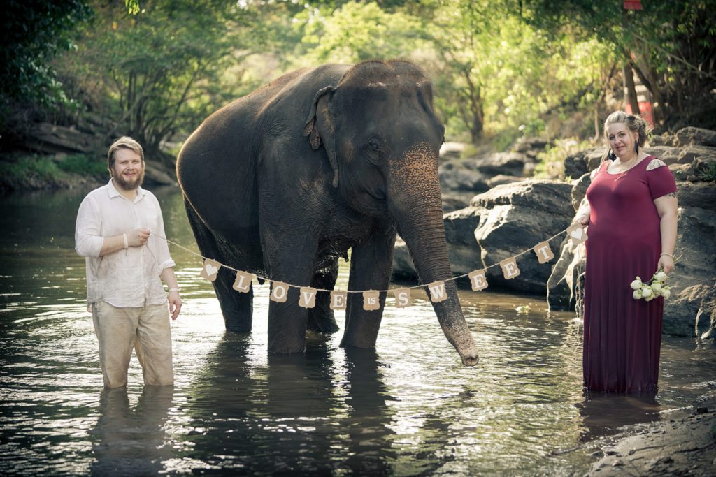 love is sweet with elephants