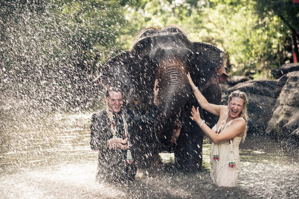 Wedding Couple Splash With Elephant