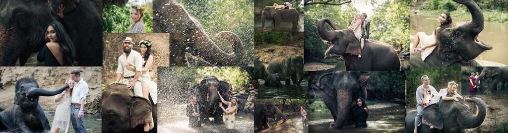 Eco elephant photo experience Chiang Mai