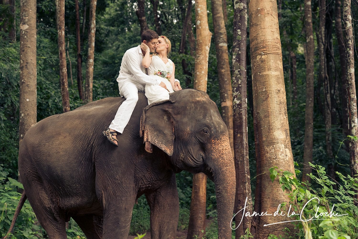 Elephant Weddings Chiang Mai
