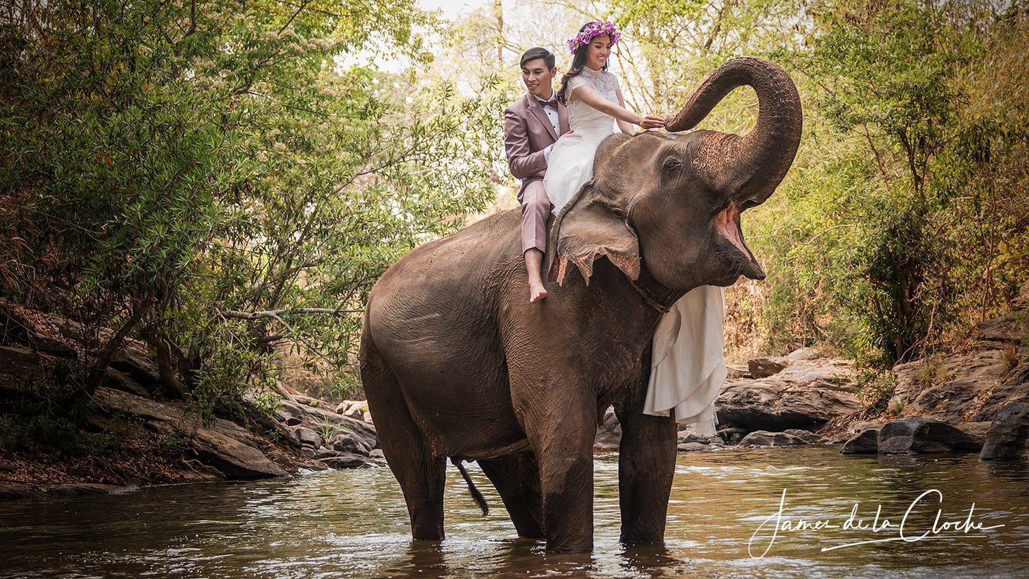 Elephant Weddings Chiang Mai