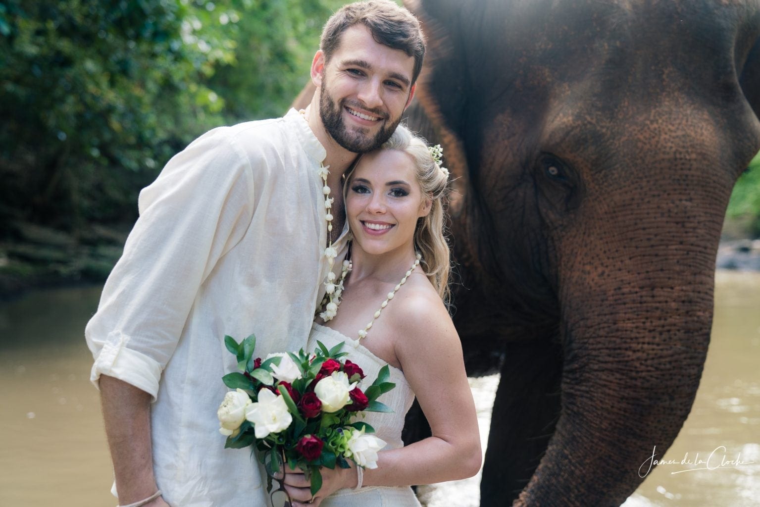 married with an elephant witness