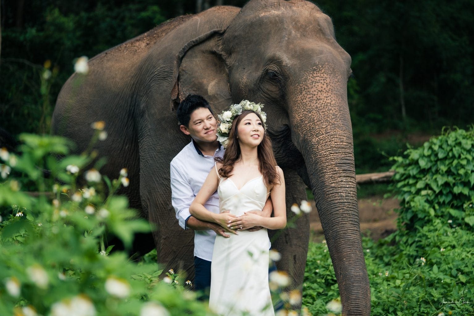 pre wedding photography Chiang Mai