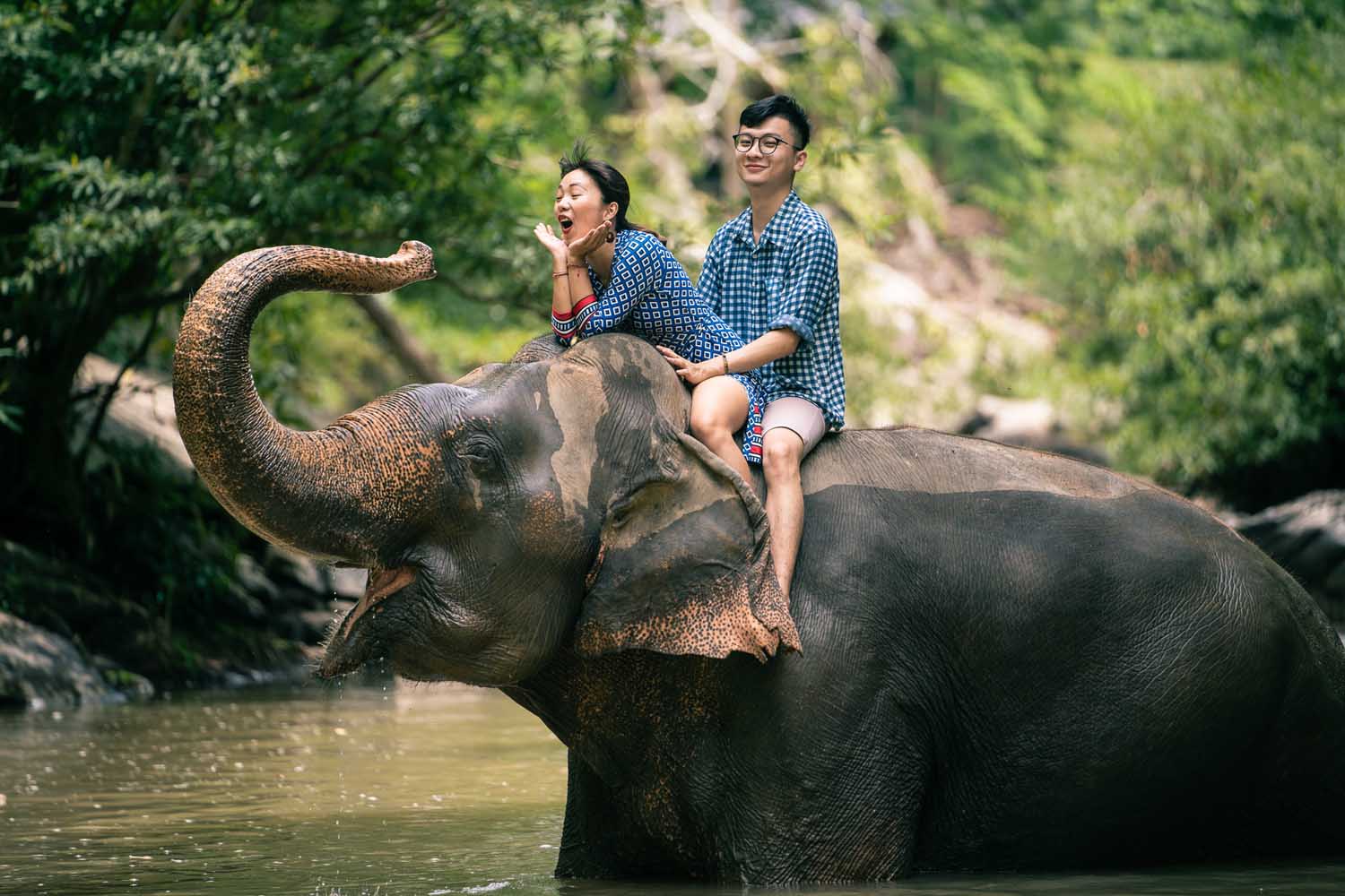 Elephant riding Chiang Mai