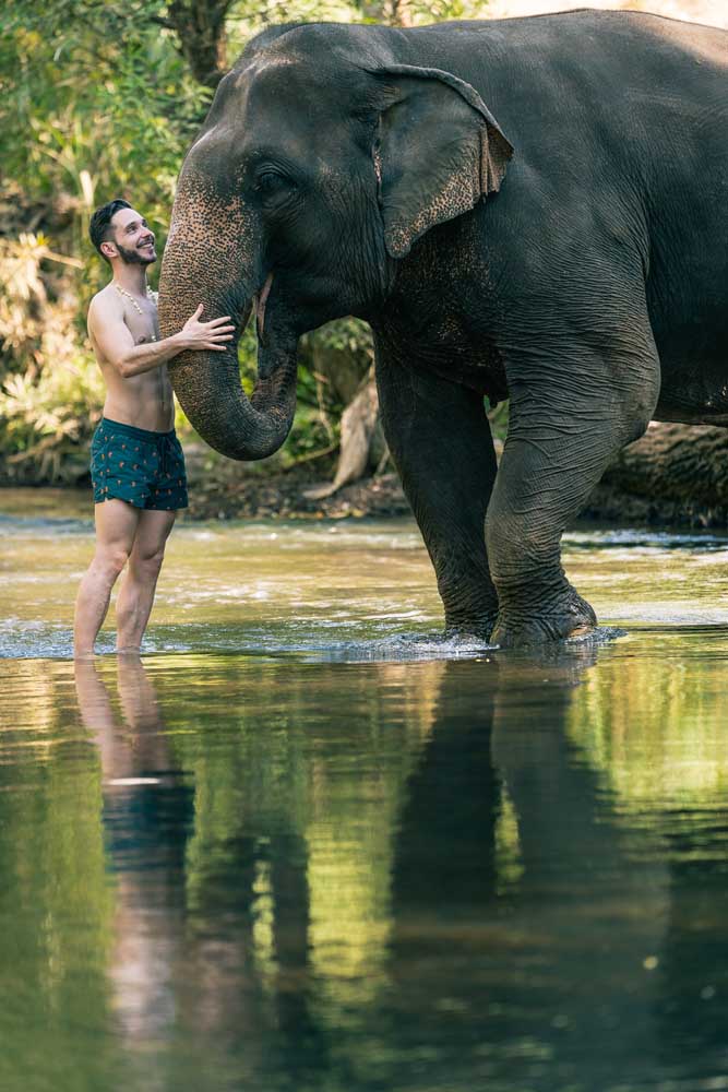 Chiang Mai elephant portraits