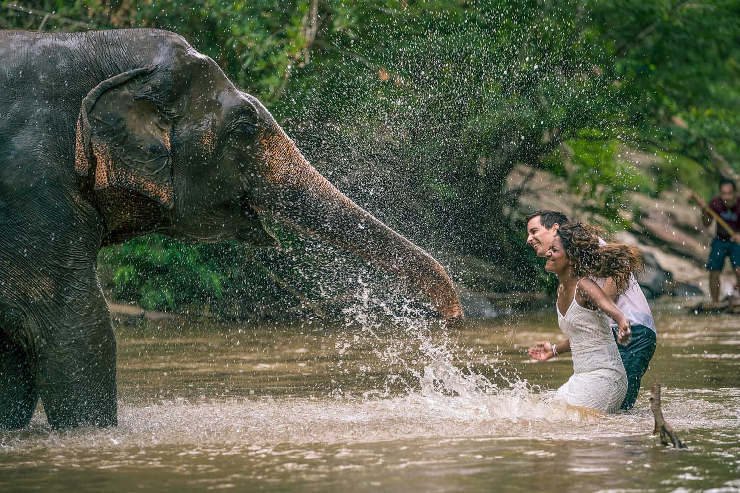 Bathing with elephants in Chiang Mai