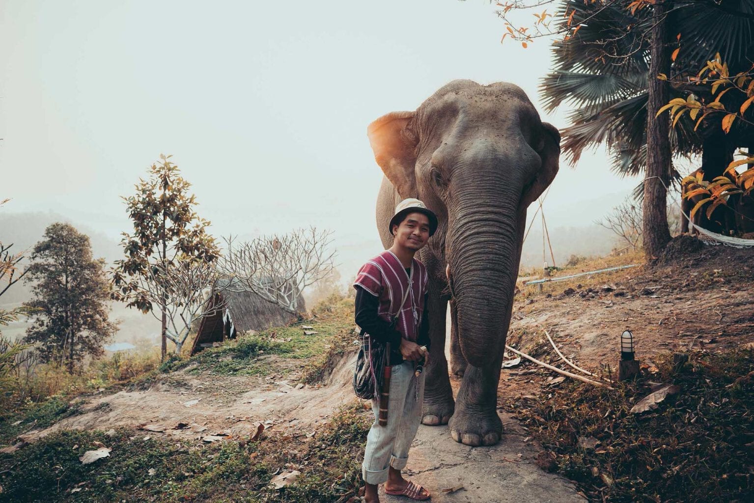 A DAY IN THE LIFE OF ELEPHANTS - Full dfay Chiang Mai photo tour