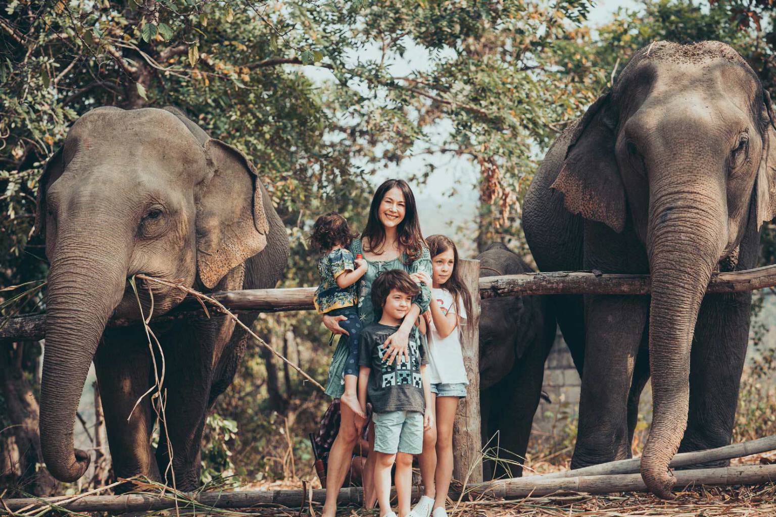 A DAY IN THE LIFE OF ELEPHANTS - Full dfay Chiang Mai photo tour