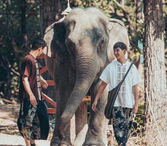 Into The Wild - Full dfay Chiang Mai photo tour