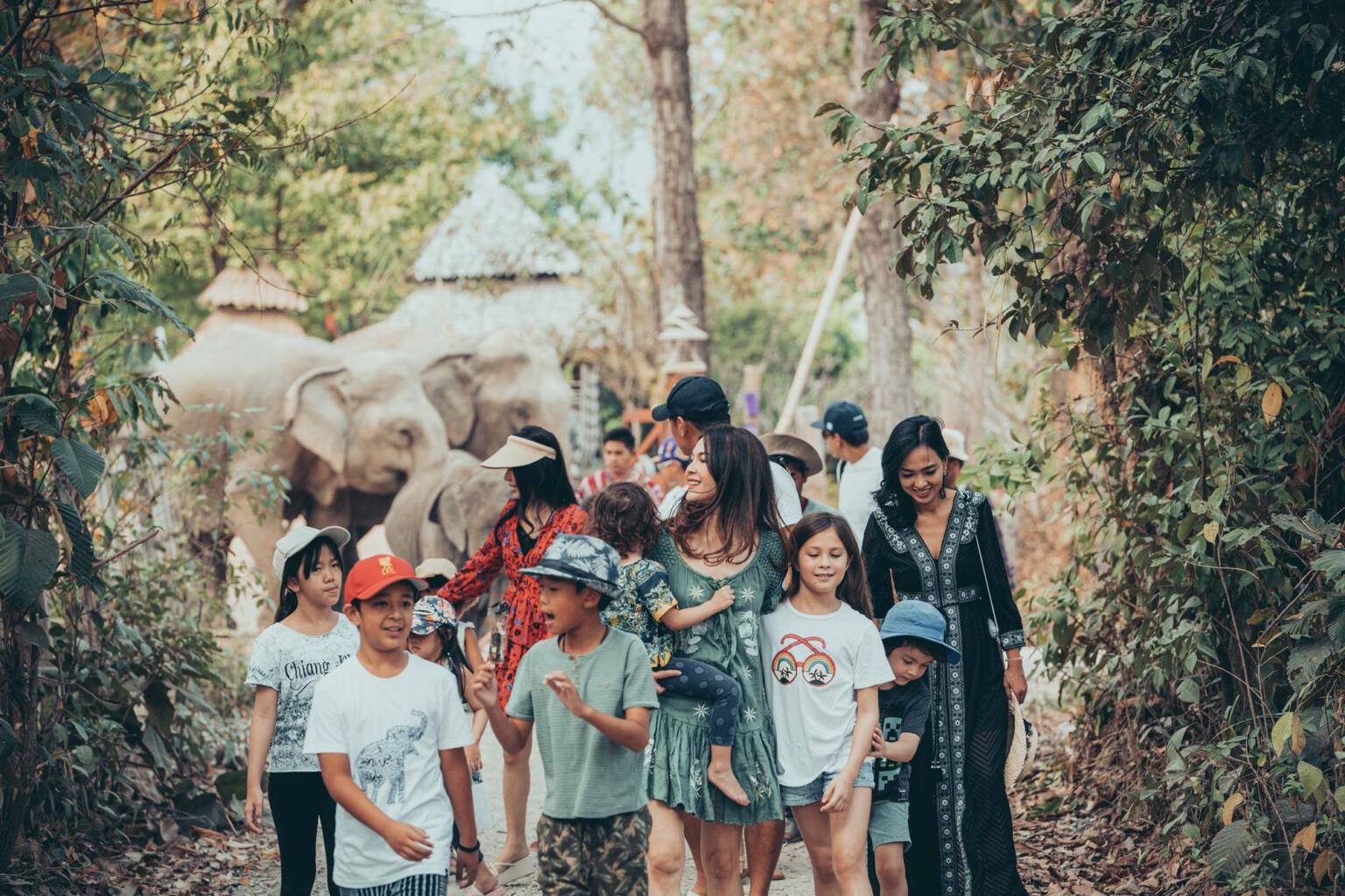 Paul Taylor & Friends Elephant Shoot Chiang Mai