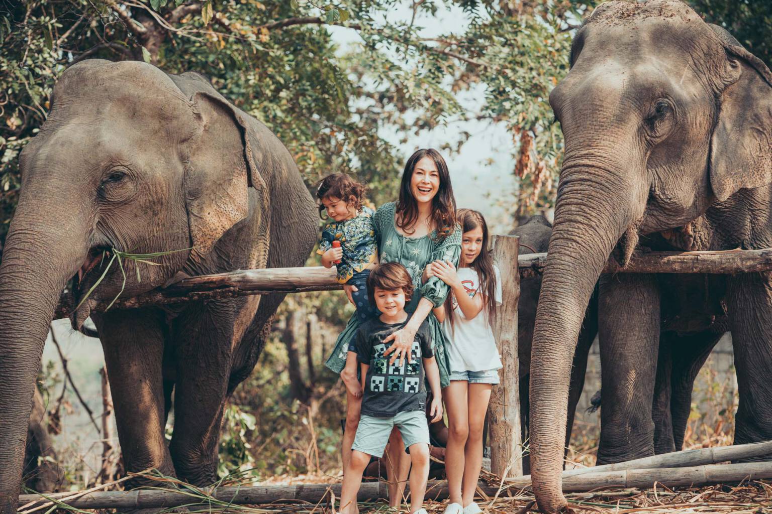 Paul Taylor & Friends Elephant Shoot Chiang Mai
