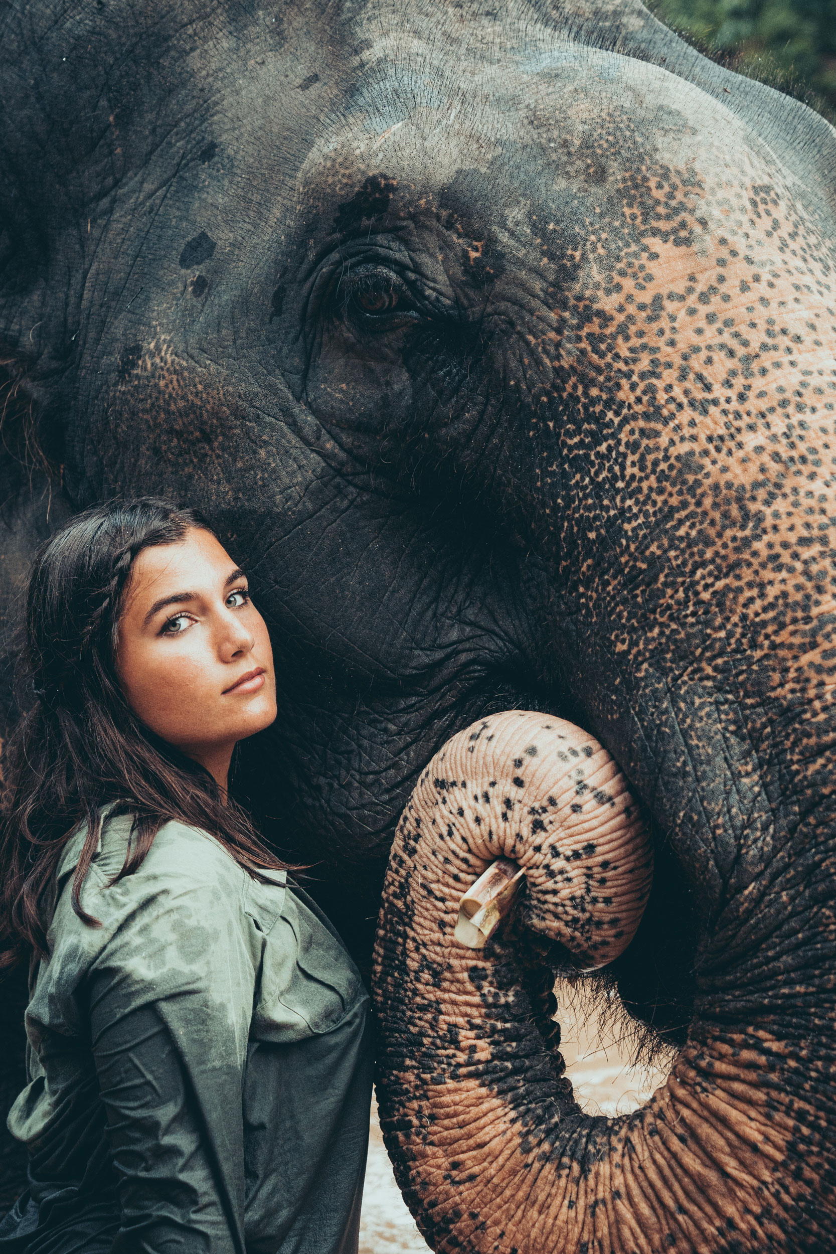Taking your picture with an elephant