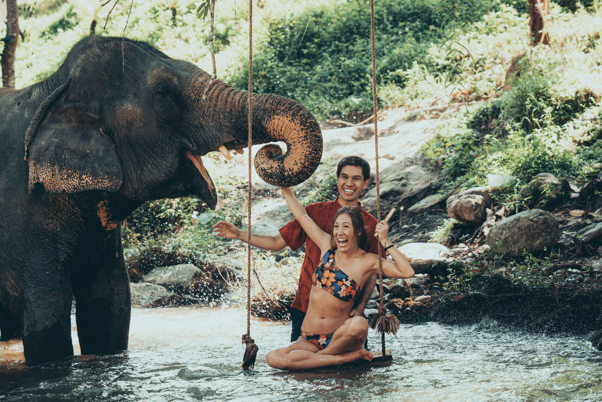 On a swing in the river with an elephant - Chiang Mai