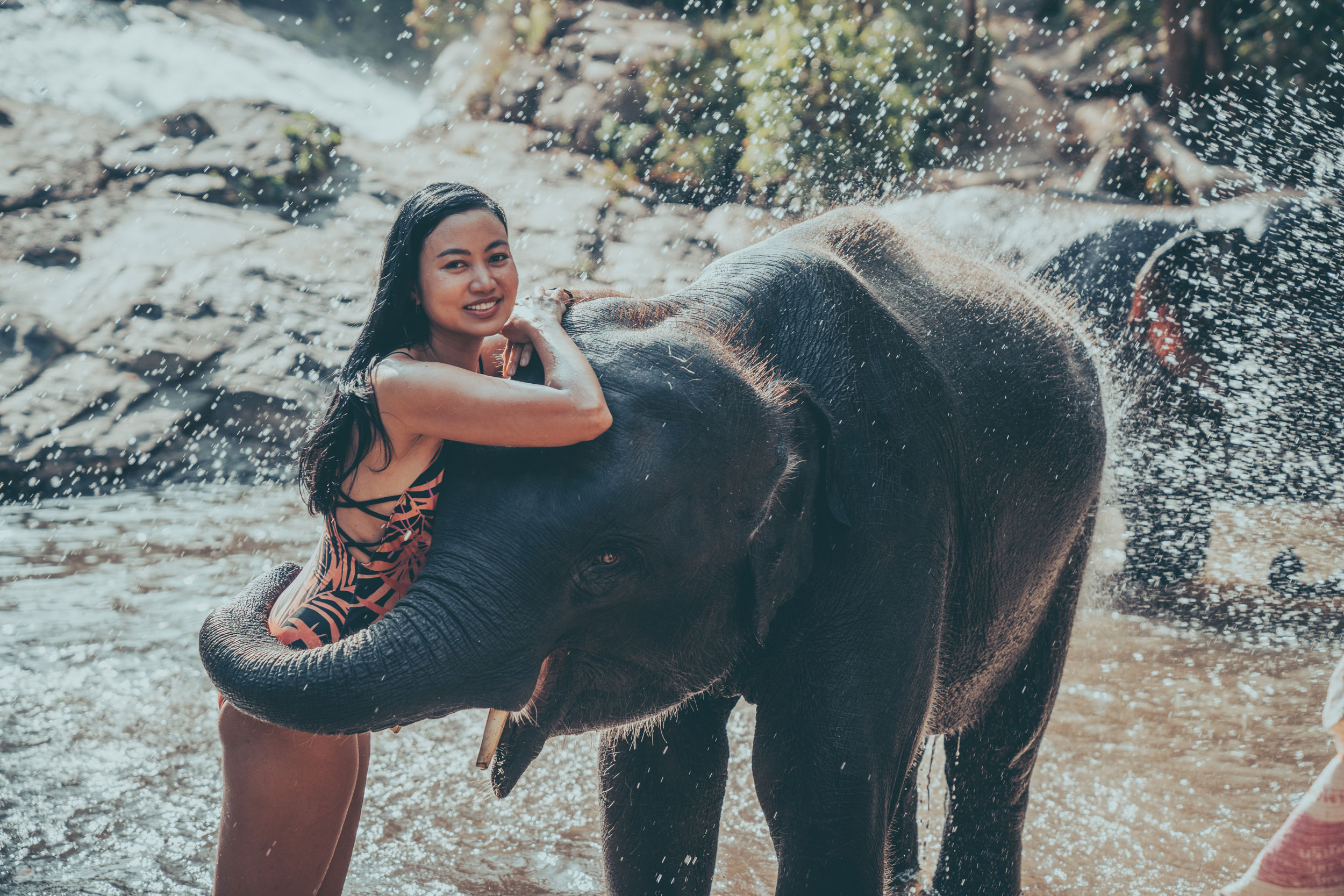 A lovely photo of a girl with a young elephant