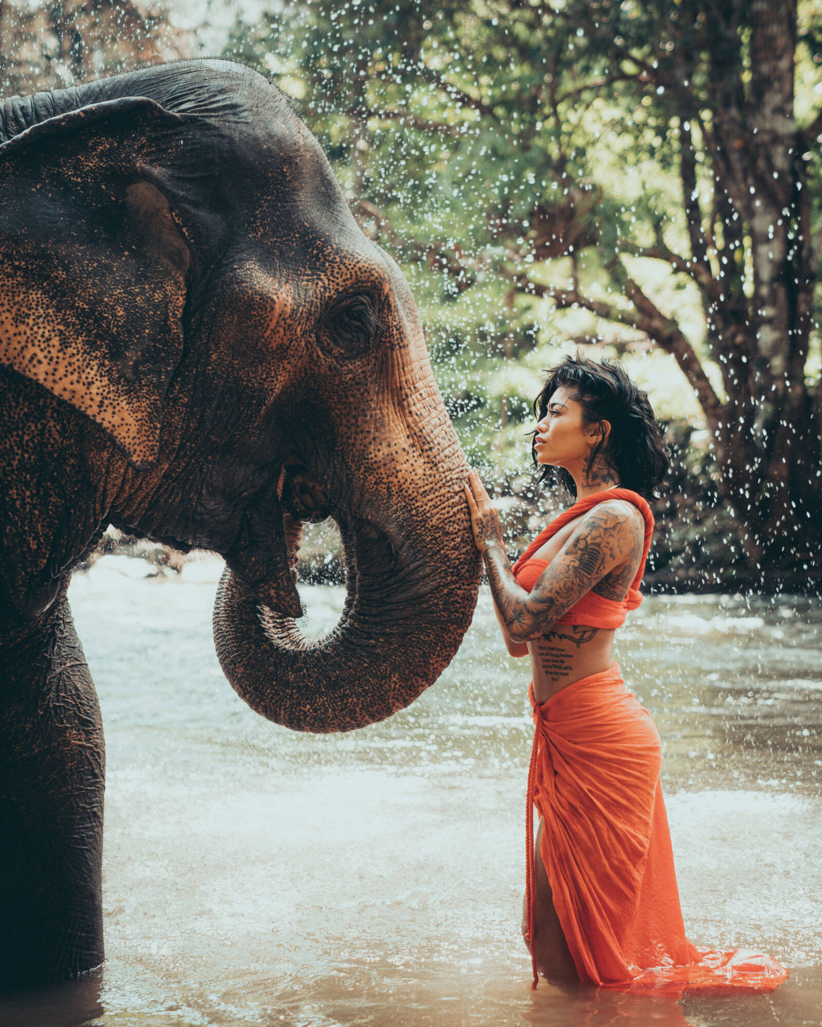 Have your picture taken with an elephant in the river