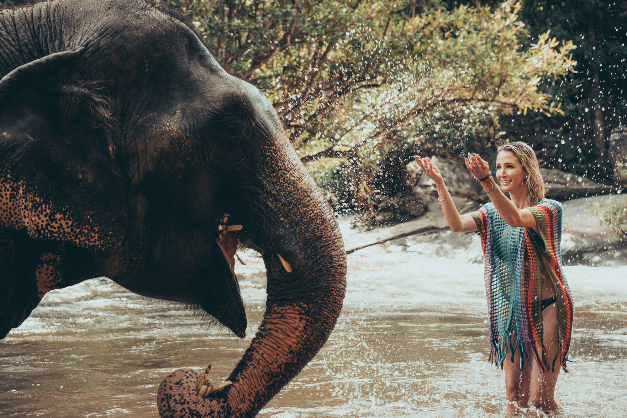 Meeting an elephant in the river