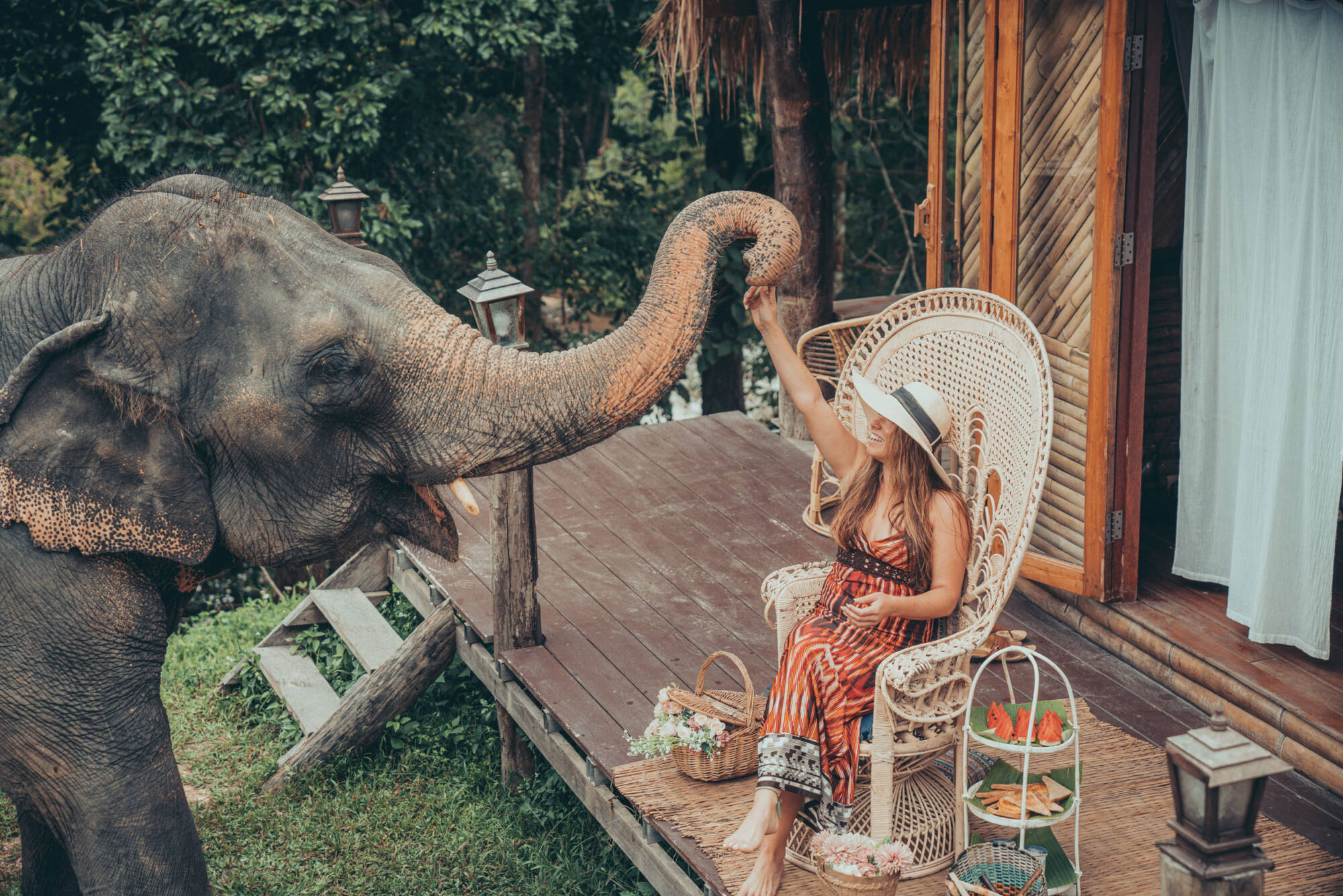 Feeding an elephant