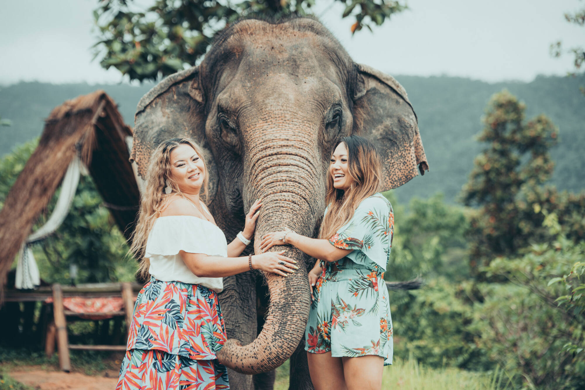 2 ladies greeting an elephant