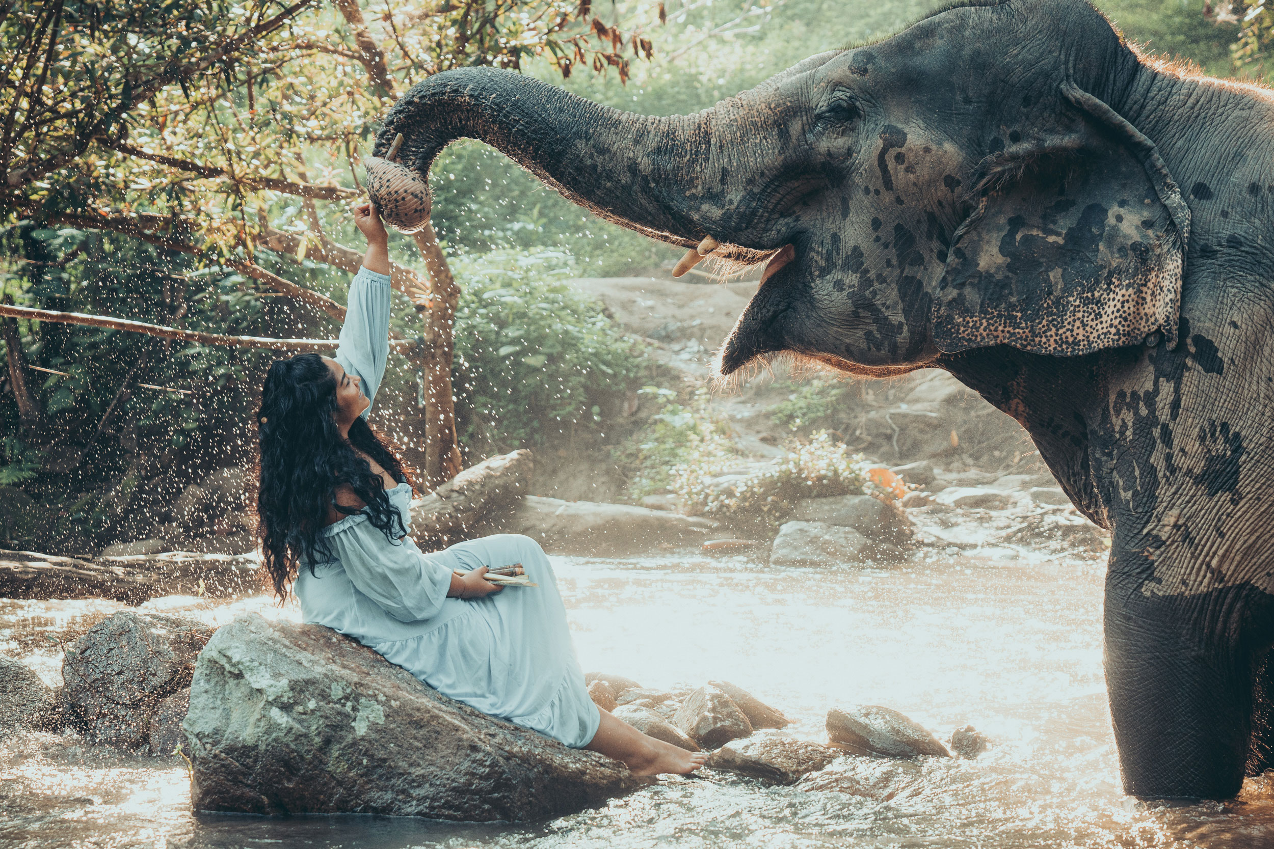 In the river with an elephant