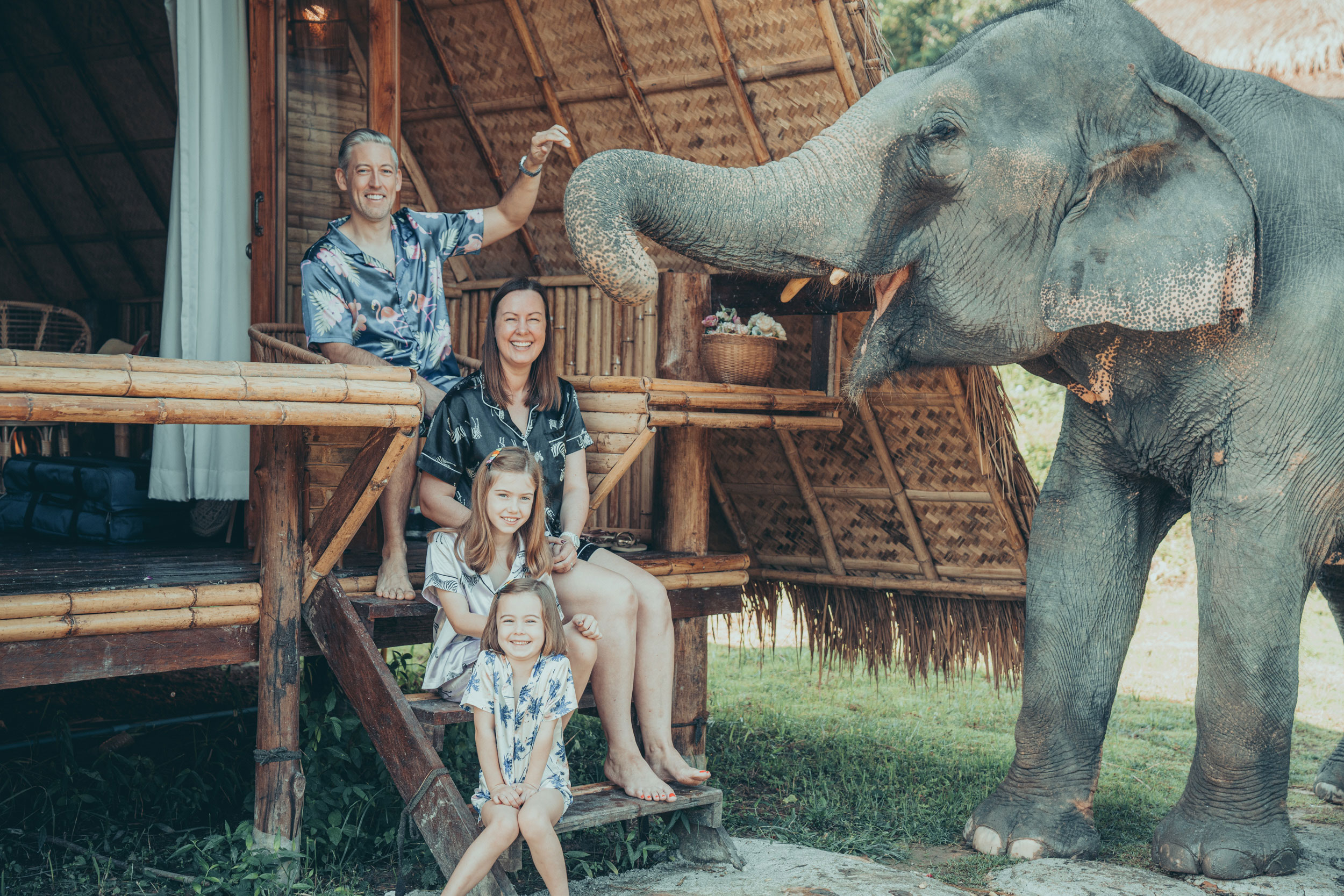 An elephant came to visit us at our hut - Chai Lai Orchid, Chiang Mai