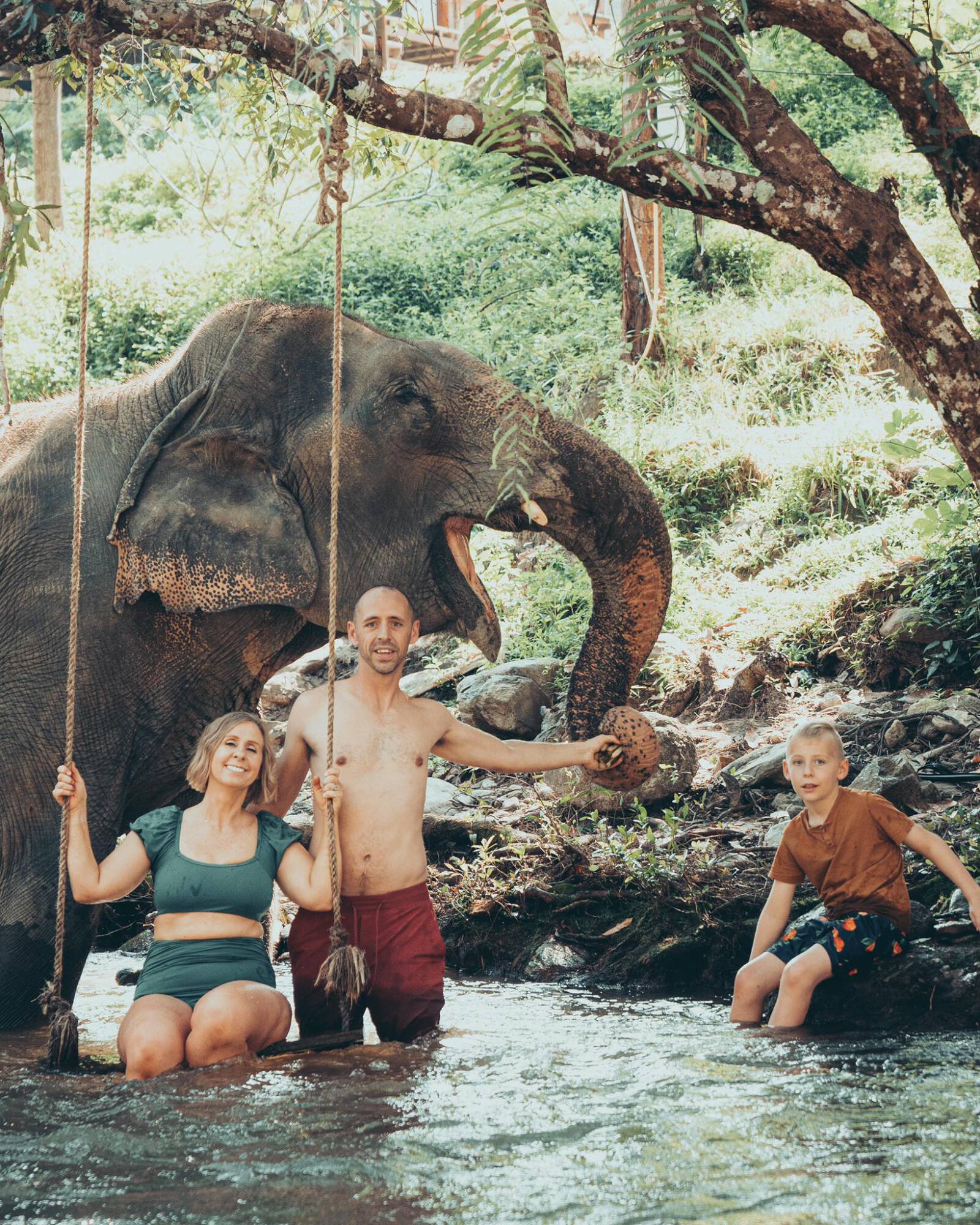 people having their portraits taken with elephants