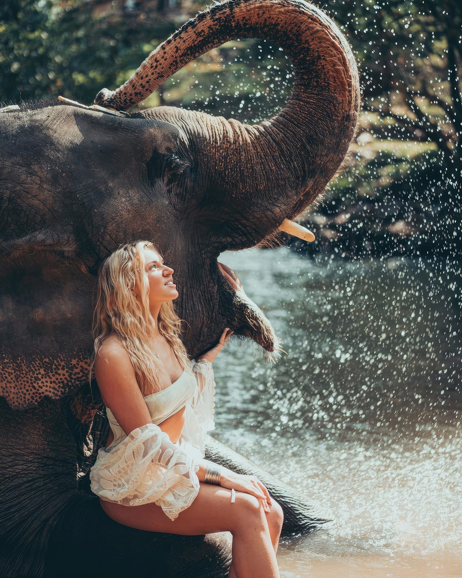 Half day photoshoot with elephants. Visit the amazing waterfall.