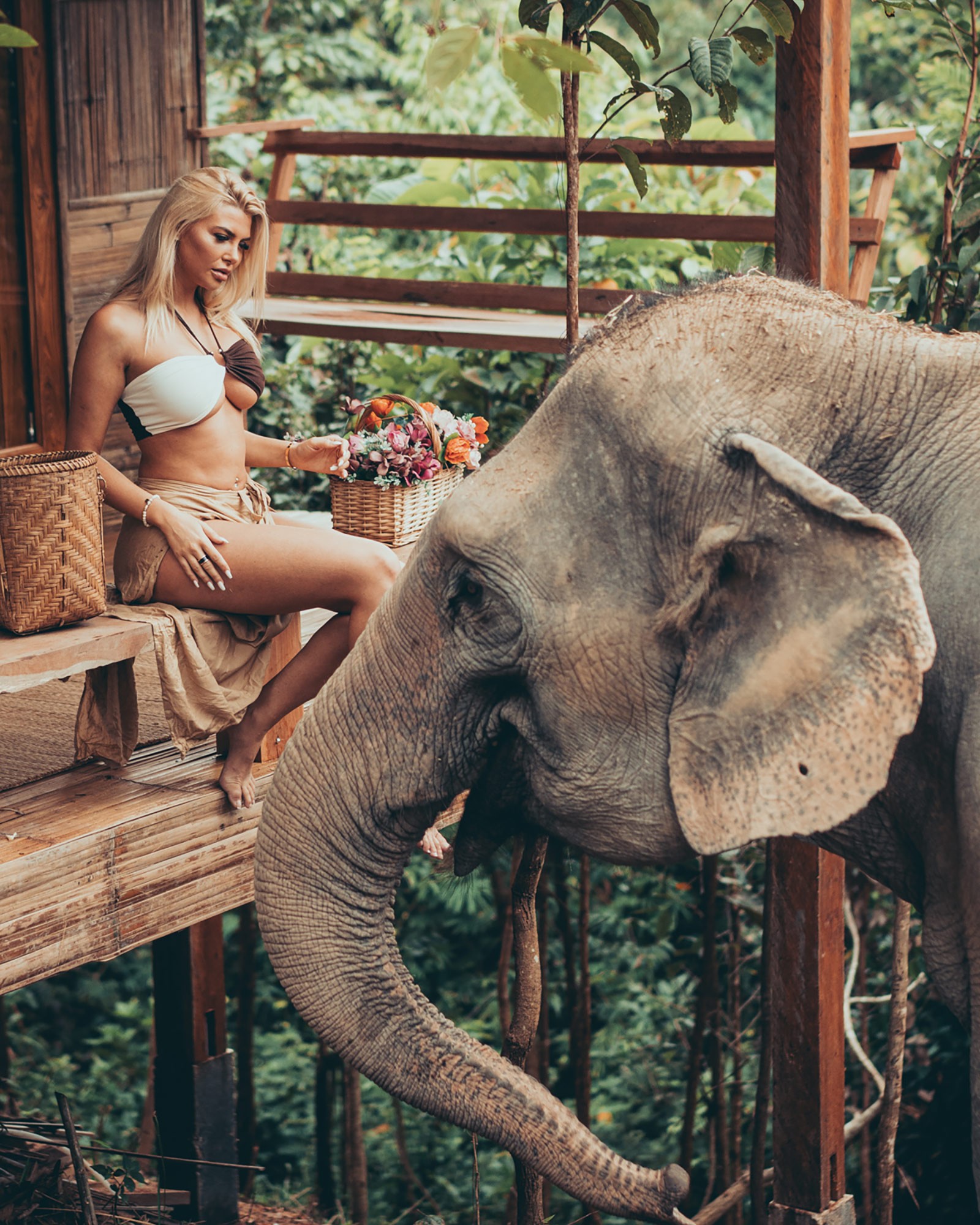 60 minute photoshoot with an elephant