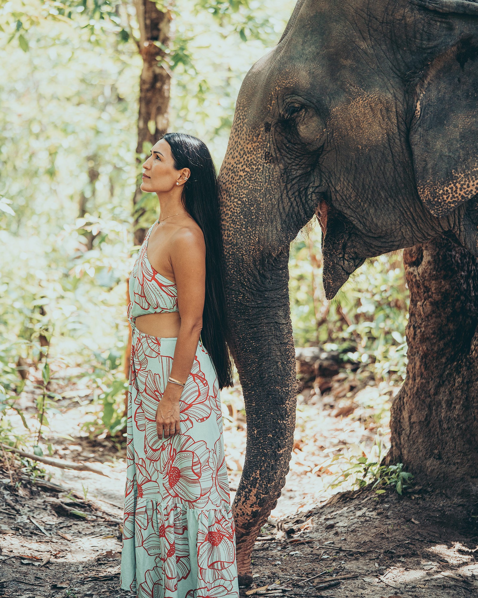 Silver Elephant – 60 min photoshoot at Chai Lai Orchid, Chiang Mai
