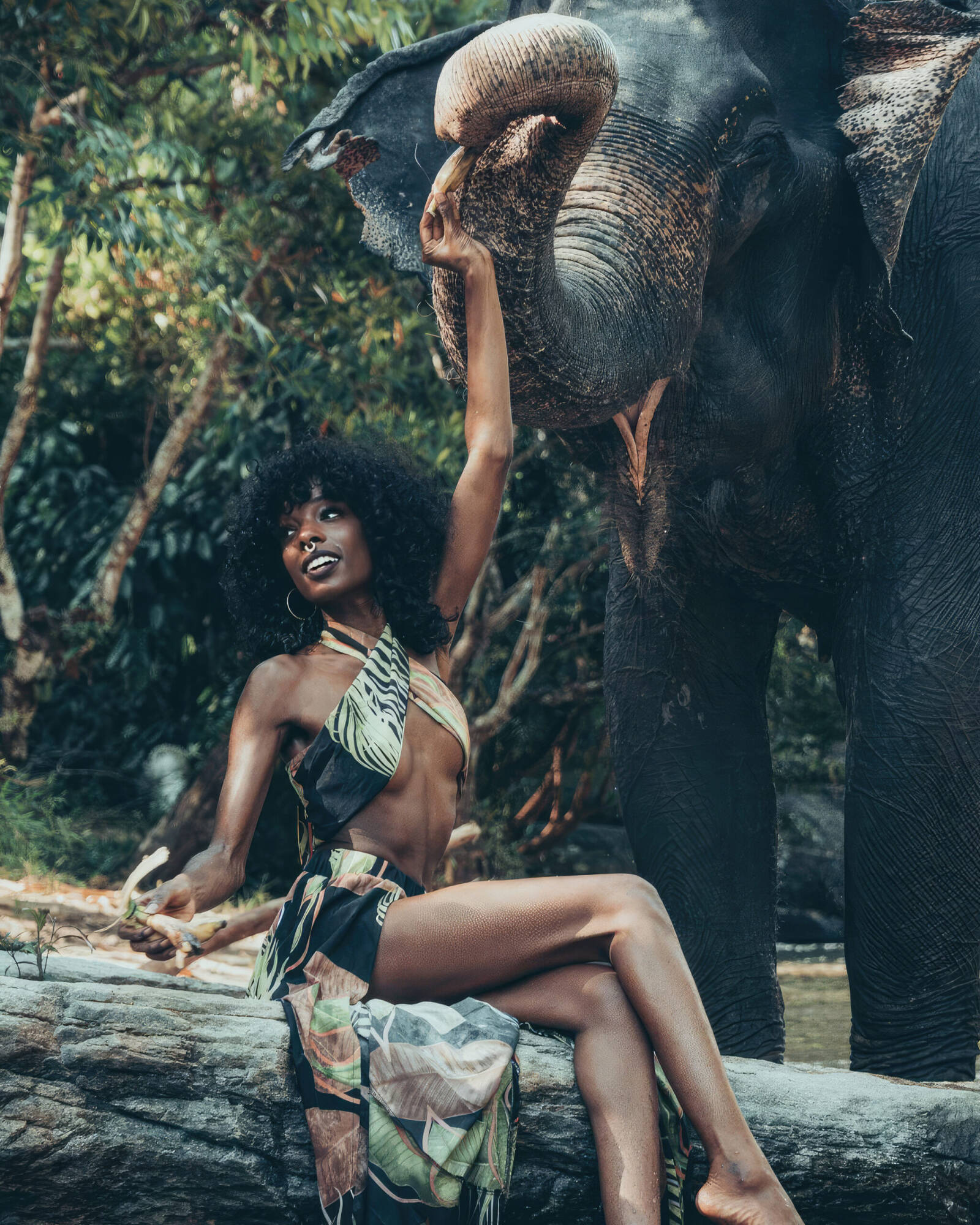 90 minute photoshoot with an elephant