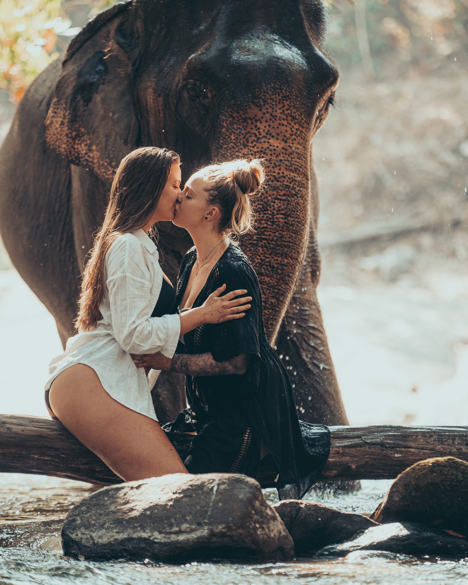 90 minute photoshoot with an elephant