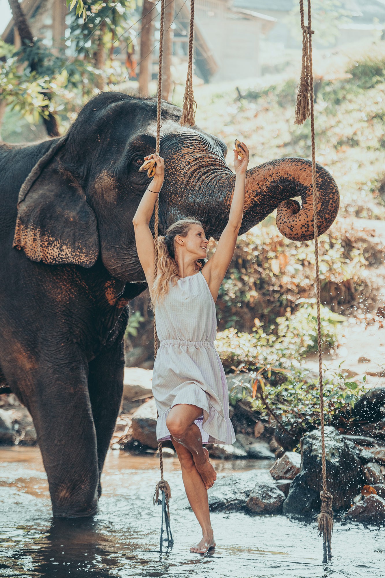 Golden Elephant – 90 minute photo shoot with James de la Cloche at Chai Lai Orchid, Chiang Mai