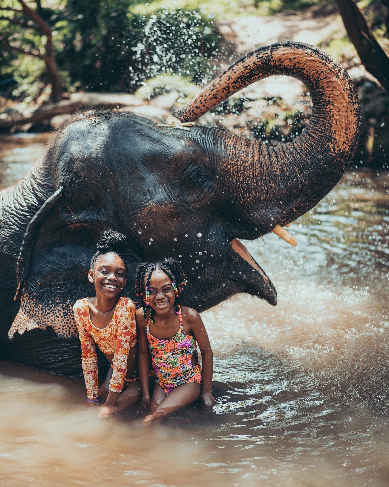 Golden Elephant – 90 minute photo shoot with James de la Cloche at Chai Lai Orchid, Chiang Mai