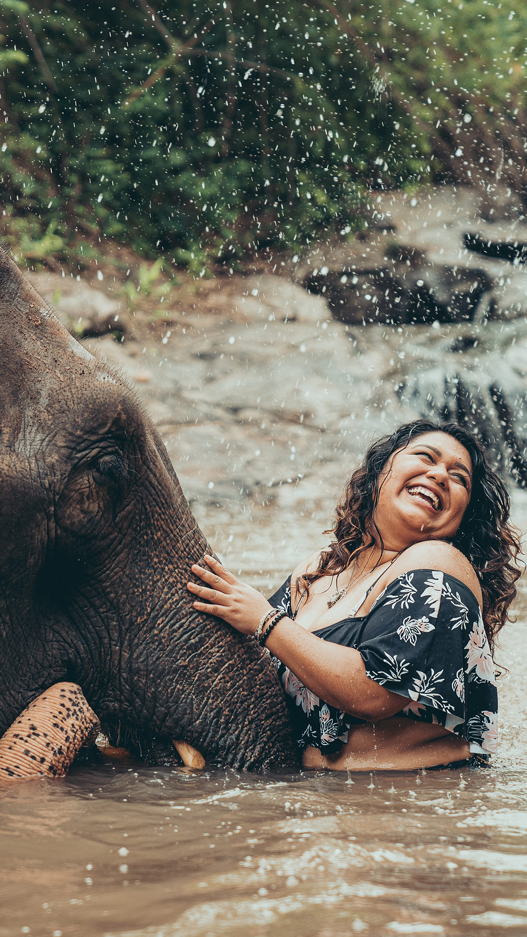 Chiang Mai Elephant photos. Best Chiang Mai elephant experience