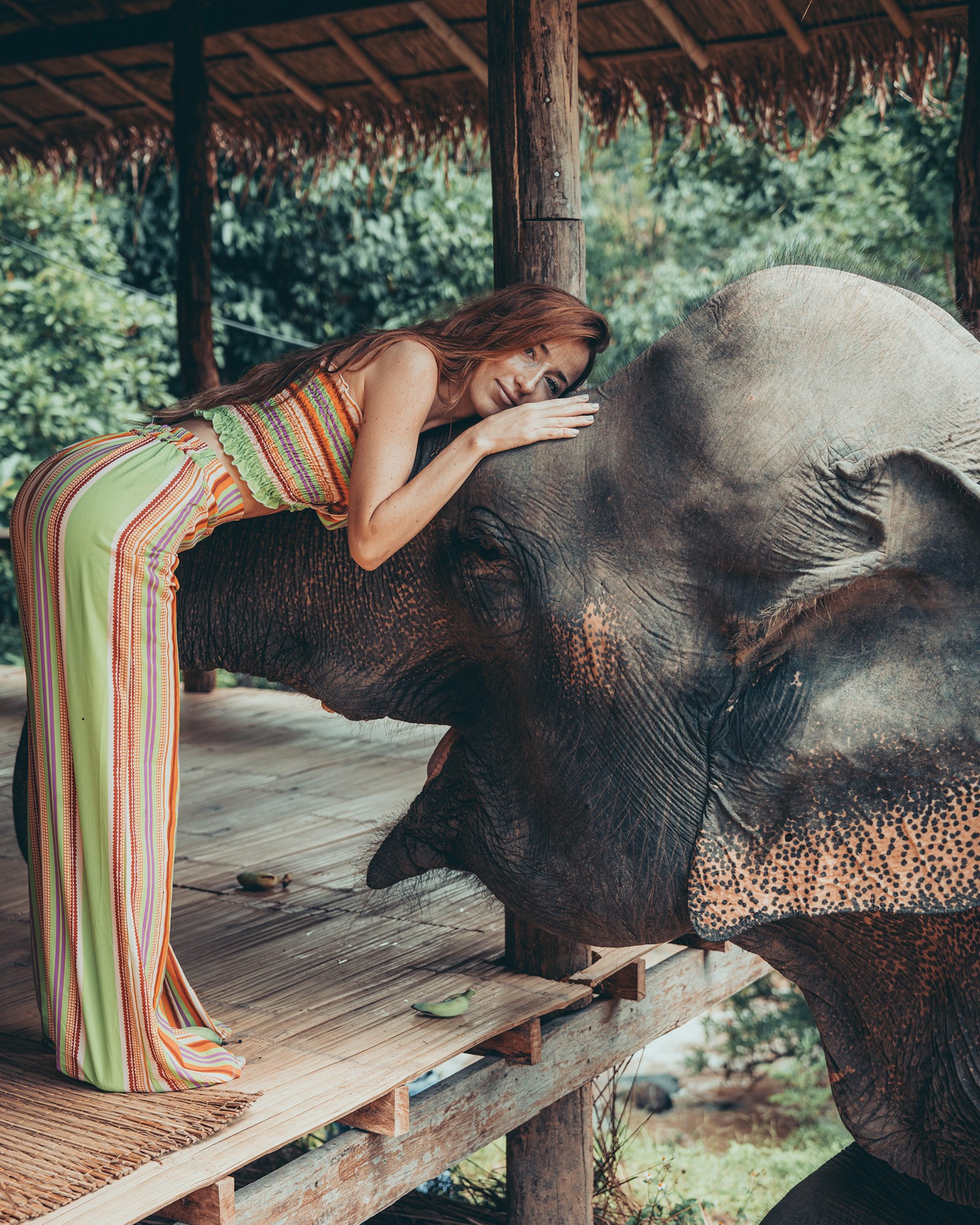 Elephant Morning Call – 30 min photo shoot with an elephant