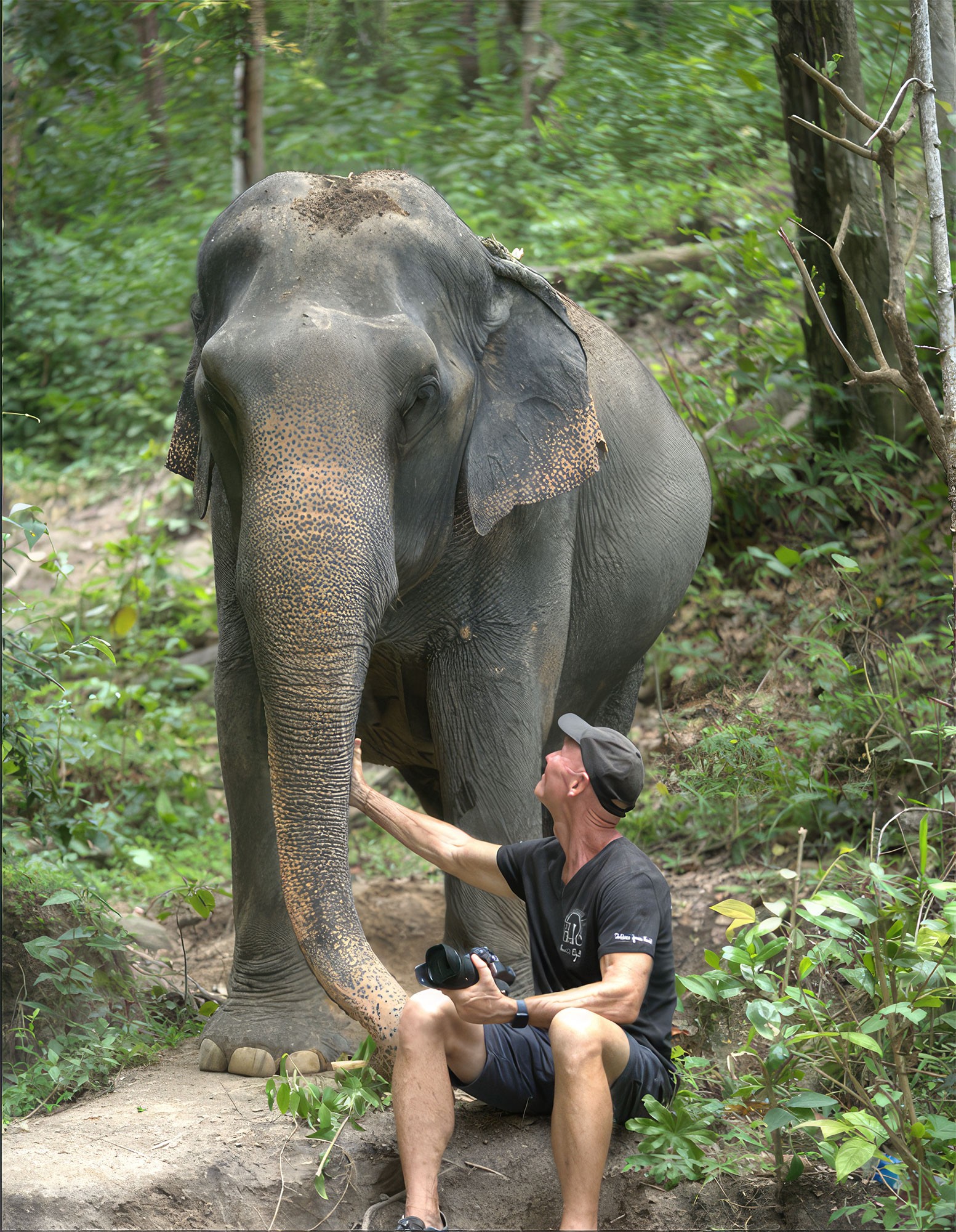James de la Cloche photographer of elephants