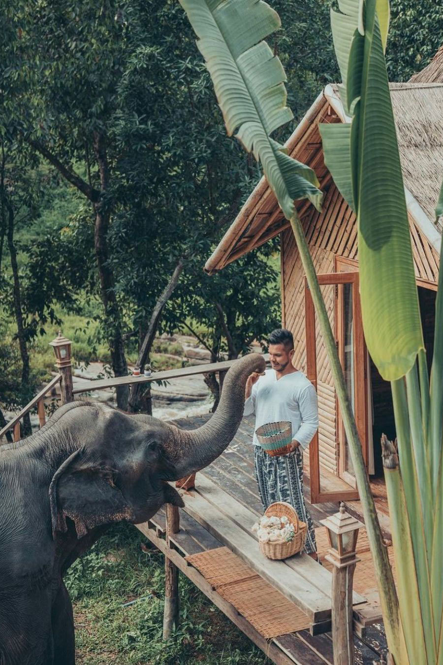 60 minute elephant shoot at Chai Lai Orchid with James de la Cloche