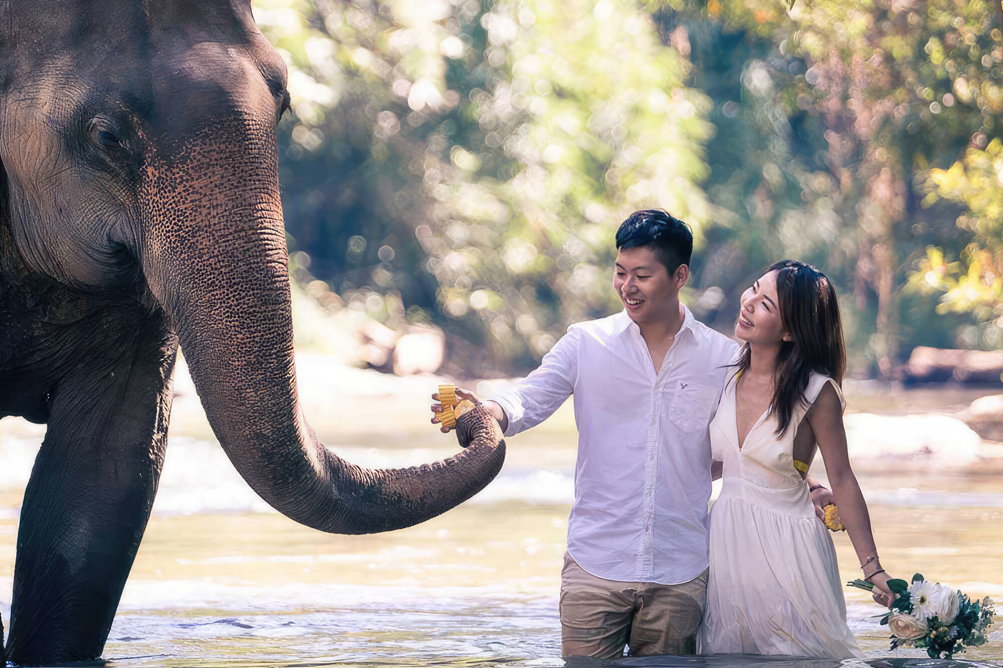 Elephant pre wedding at Chai Lai Orchid by James de la cloche