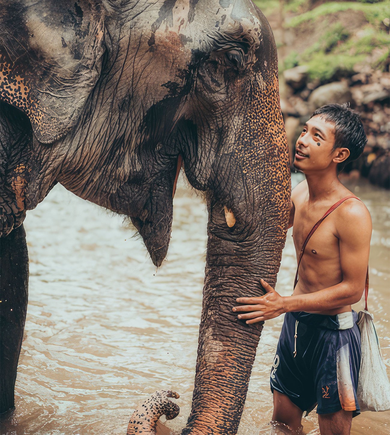 Thailand Elephant mahout