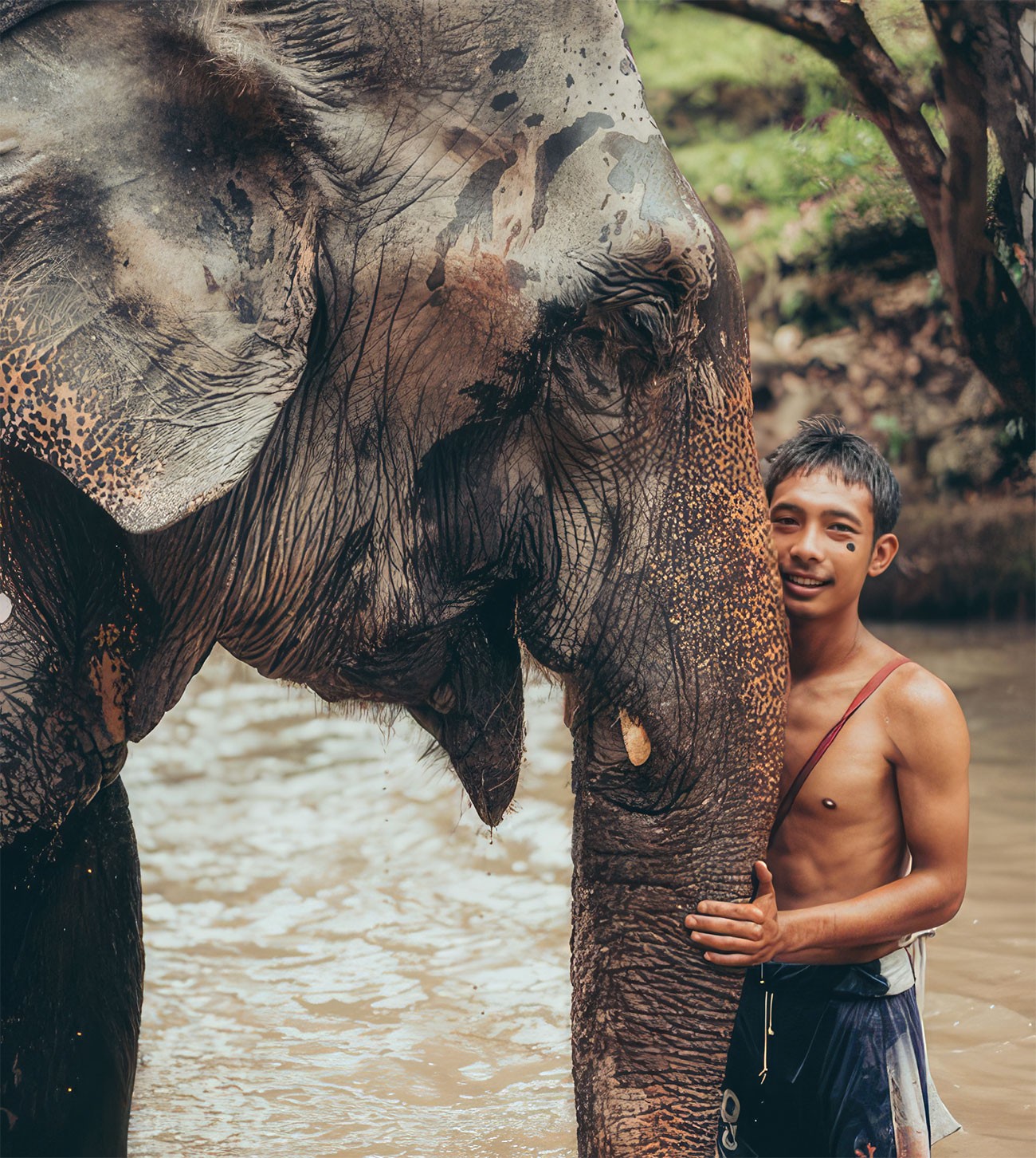 Thailand Elephant mahout