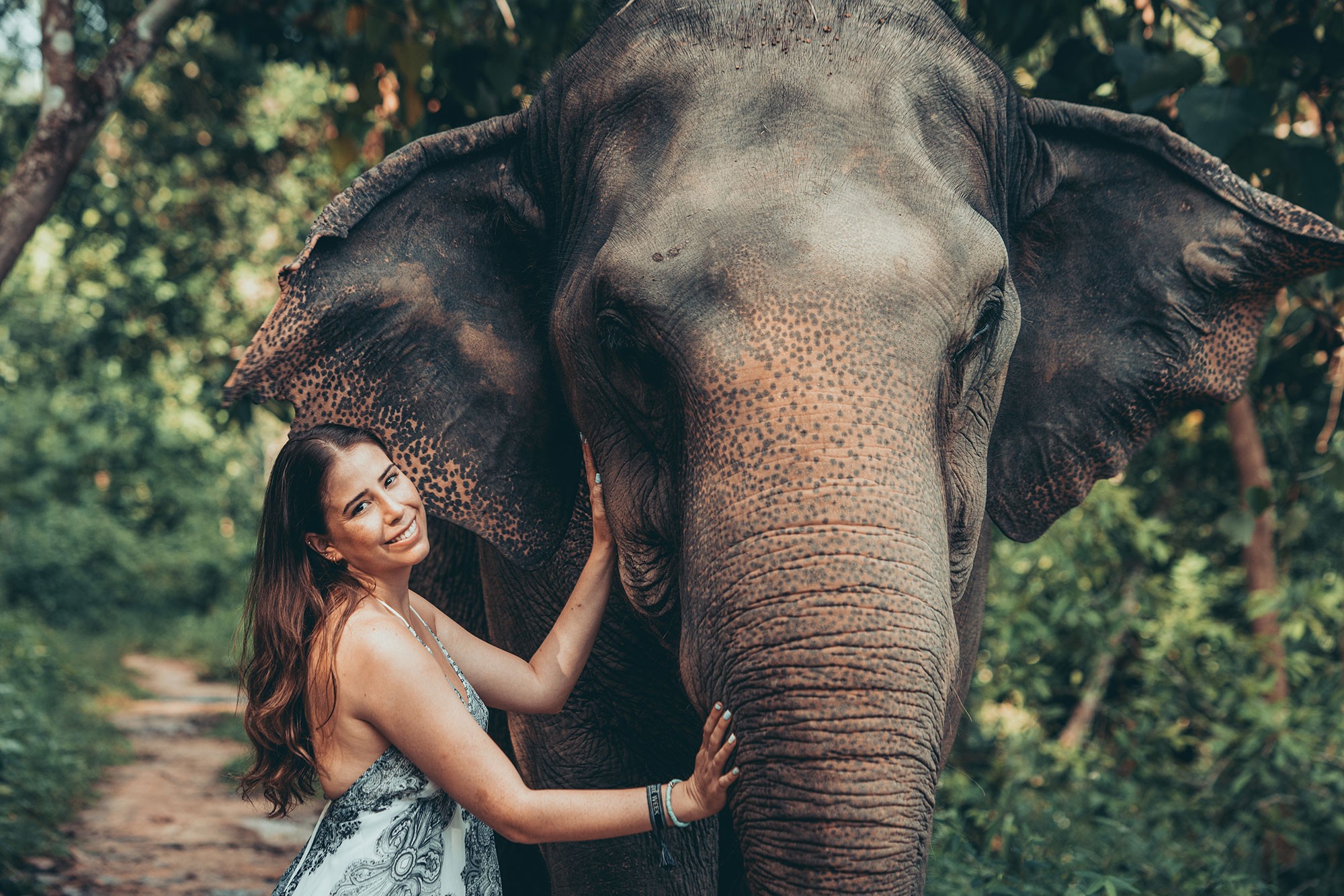 Full day elephant photo package - Chiang Mai